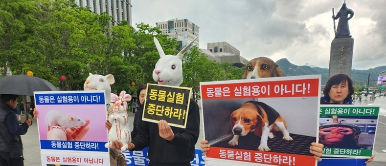 한국동물보호연합, 세계 실험 동물의 날 맞아 '동물실험 중단 촉구' 기자회견 열어