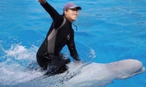 (사진=해양수산부)