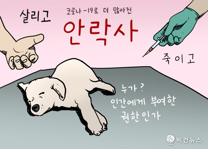 간세 화백