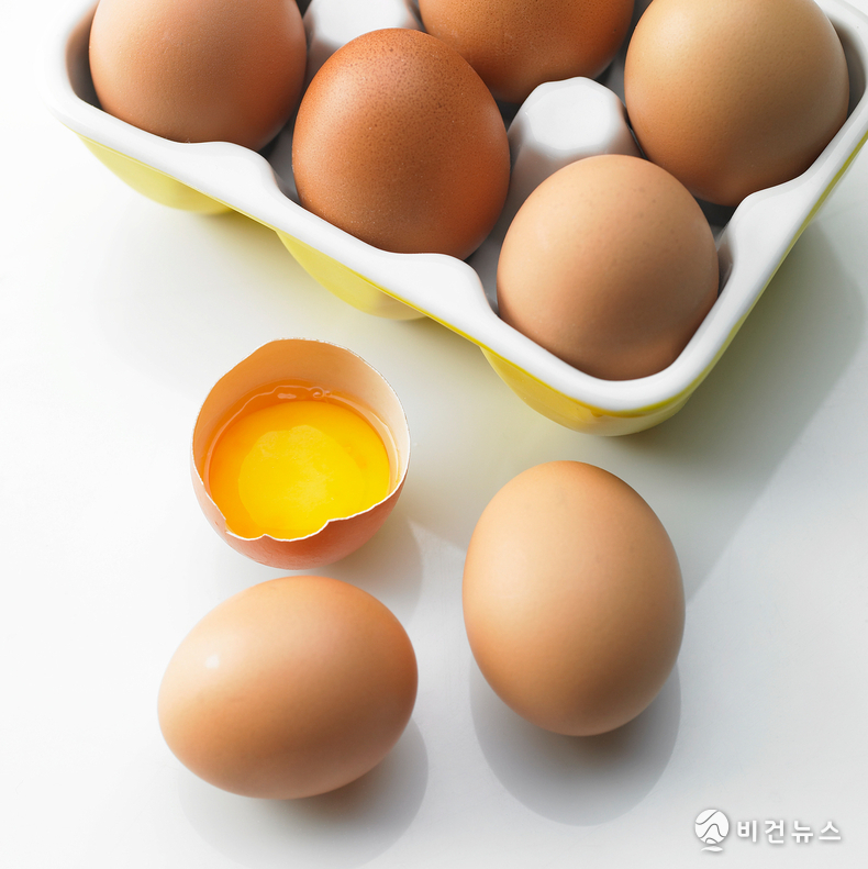 (사진=이미지투데이)