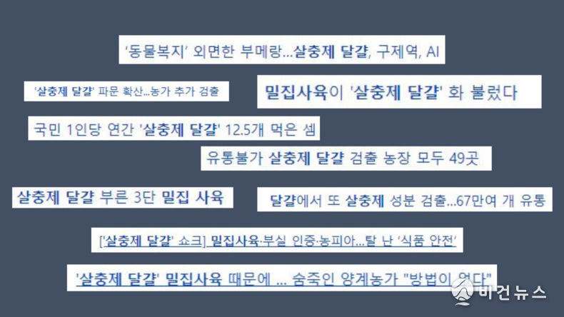 (그래픽=서인홍 기자)