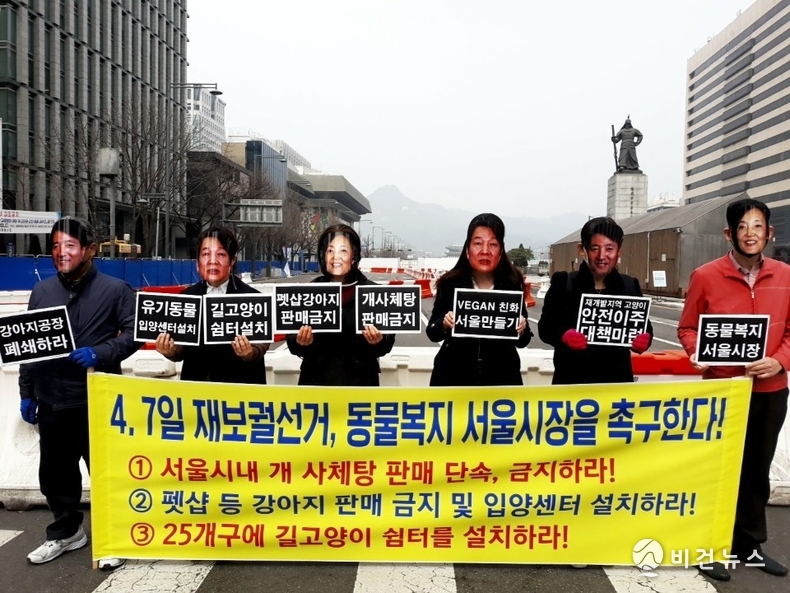 (사진=한국동물보호연합)