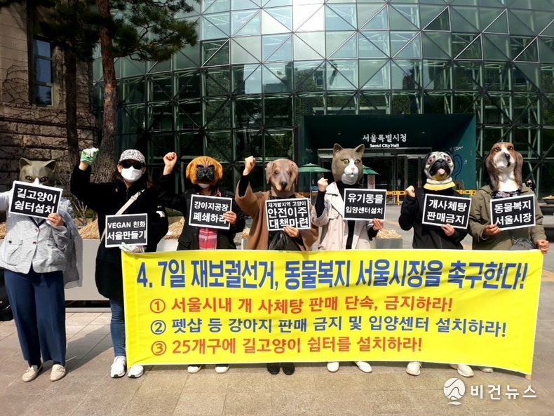 (사진=한국동물보호연합)
