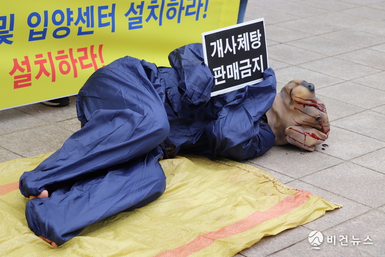(사진=서인홍 기자)