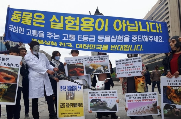 (사진=한국동물보호연합)