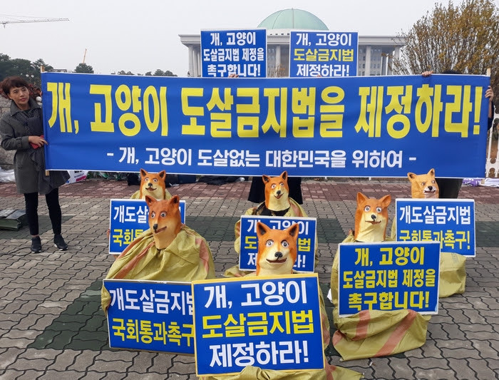 (사진=동물보호단체)