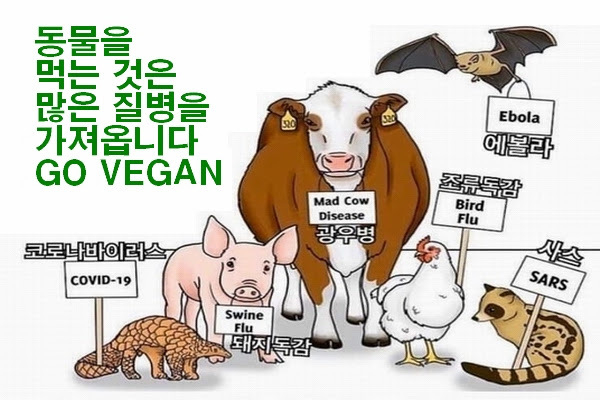 (사진=한국채식연합)