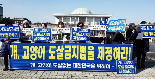 (사진=한국동물보호연합)