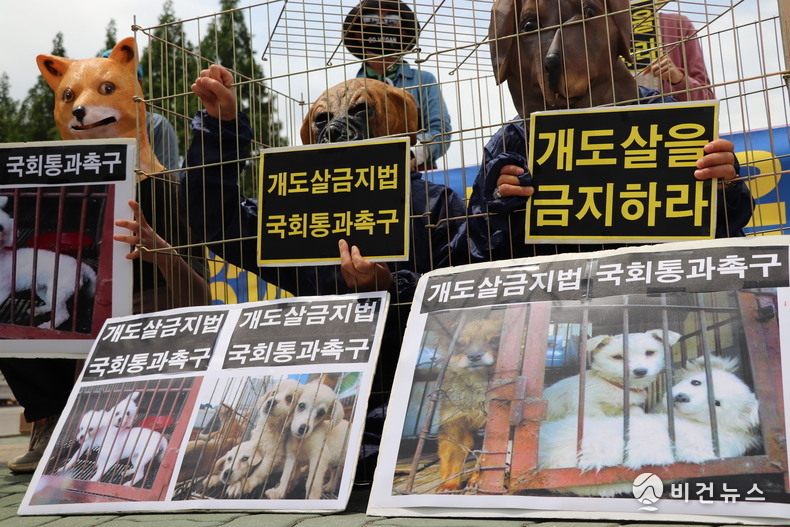 (사진=서인홍 기자)