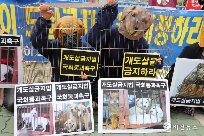 (사진=서인홍 기자)