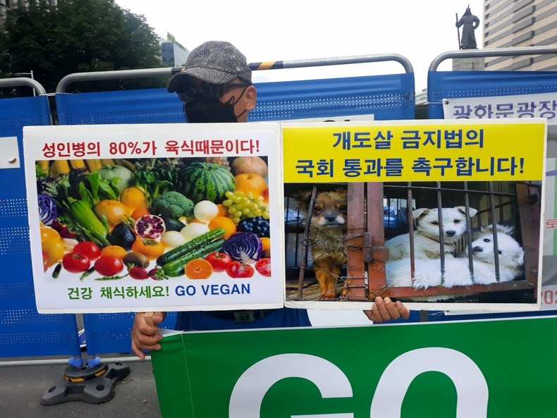 (사진=한국채식연합 제공)