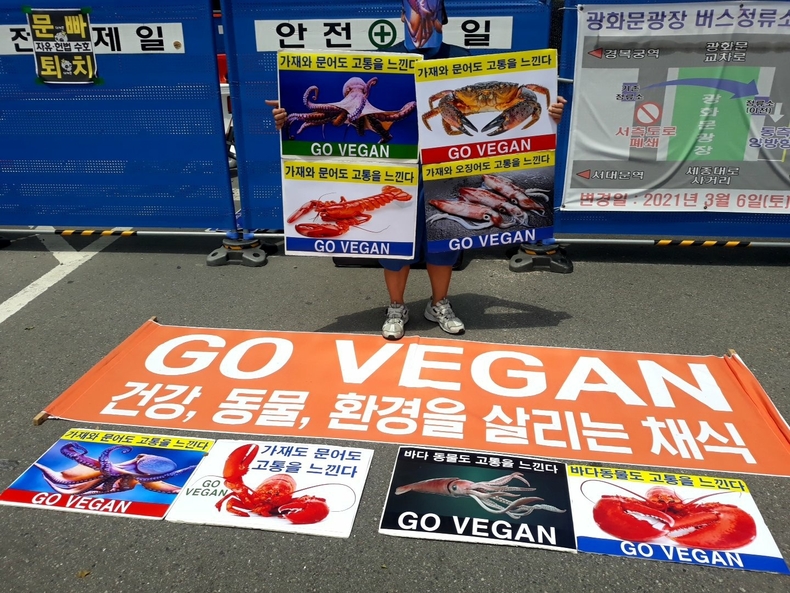 (사진=한국채식연합 제공)