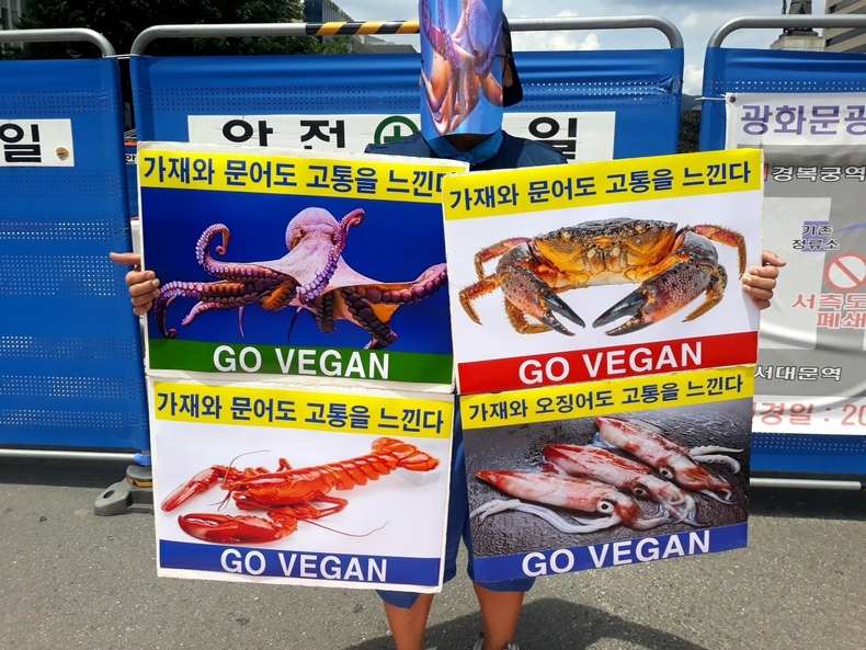 (사진=한국채식연합 제공)