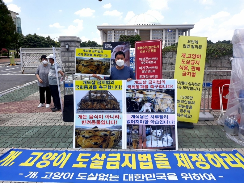 (사진=한국동물보호연합 제공)