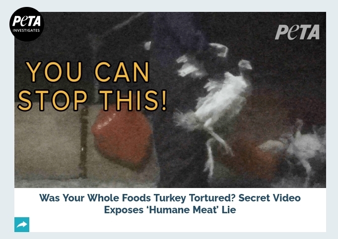 (사진=PETA 홈페이지 갈무리)