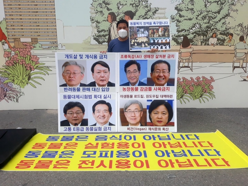 (사진=한국동물보호연합 제공)
