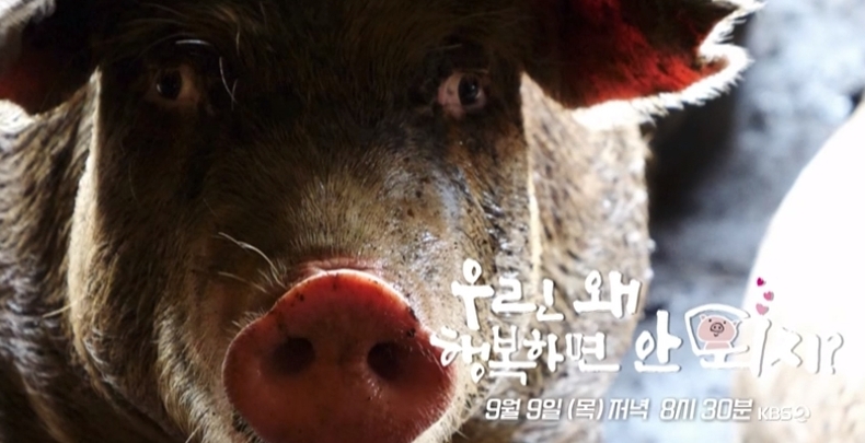 (사진='환경스페셜')