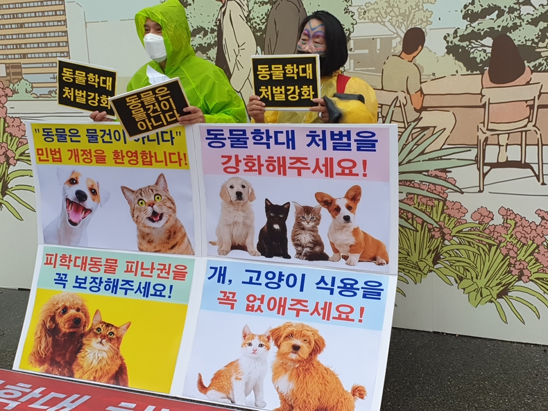 (사진=한국동물보호연합 제공)