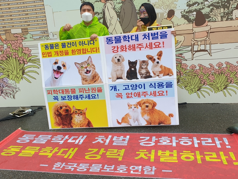 (사진=한국동물보호연합 제공)