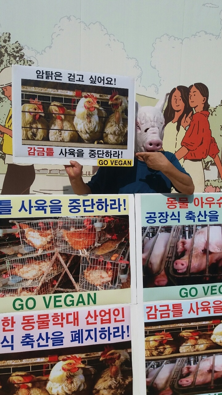 (사진=한국동물보호연합)
