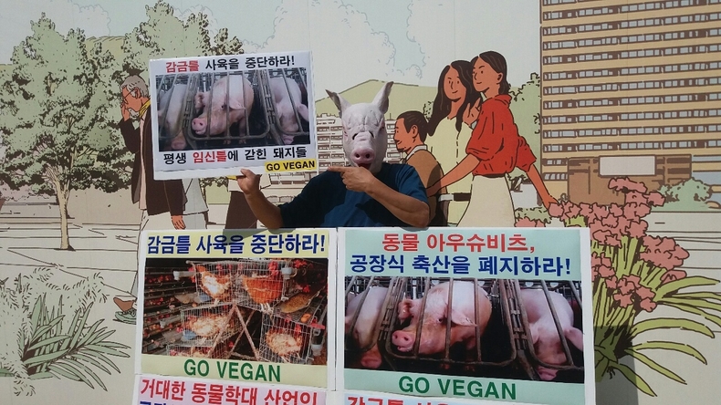 (사진=한국동물보호연합)