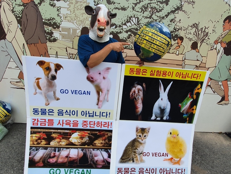 (사진=한국동물보호연합)
