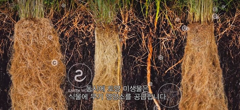 (사진=넷플릭스)