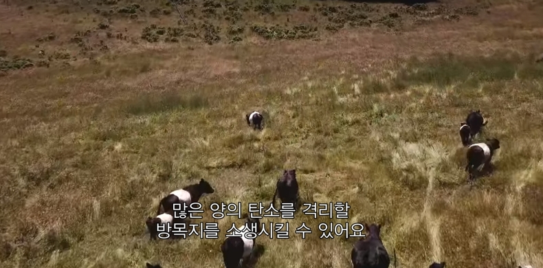 (사진=넷플릭스)