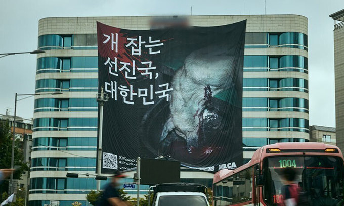 (사진=동물해방물결 제공)