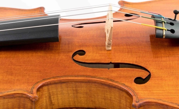 (사진=www.veganviolins.com)