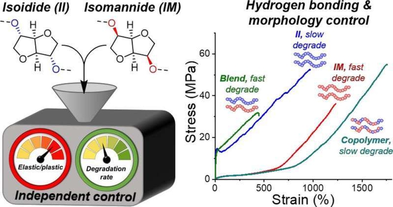 'A sweet breakthrough: Scientists develop recyclable plastics based on sugars' (사진=Journal of the American Chemical Society) 