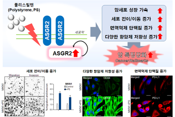 (사진=한국원자력의학원 제공)