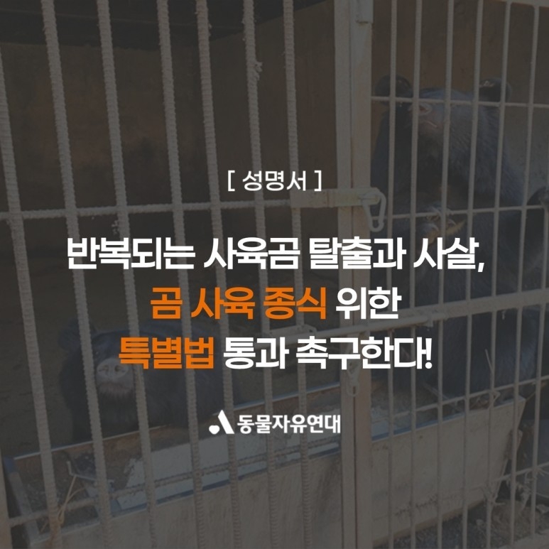 (사진=동물자유연대 블로그 갈무리)