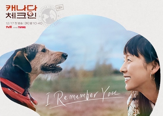 (사진=tvN 제공) 