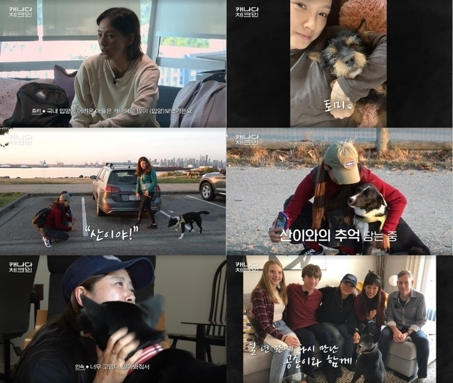 (사진=tvN 제공) 