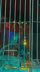 (사진=트위터 eclipsethis2003) 