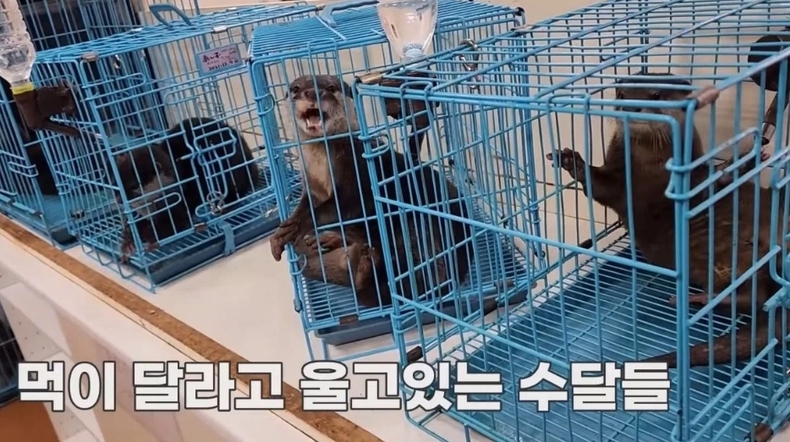 (사진=유튜브 다흑 영상 갈무리)
