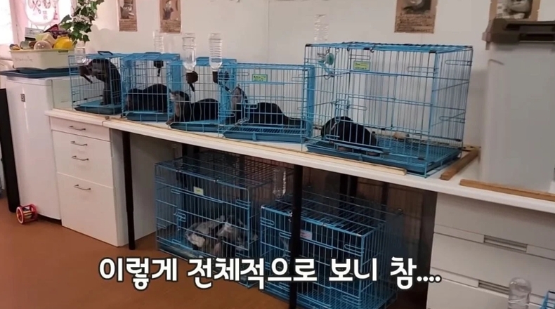 (사진=유튜브 다흑 영상 갈무리)