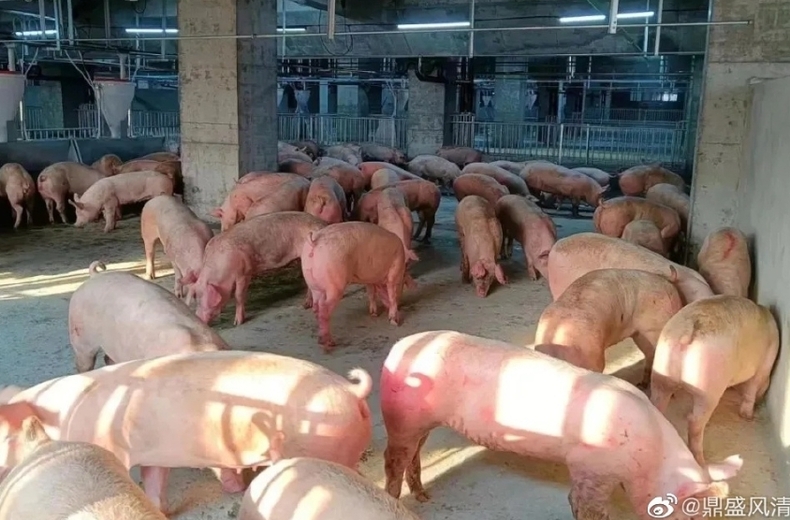 (사진=웨이보 갈무리)