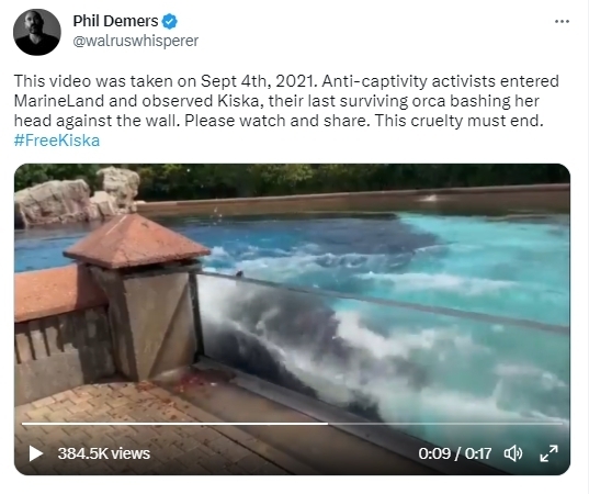 키스카의 이상행동을 담은 영상 갈무리. (사진=Phil Demers 트위터 갈무리)