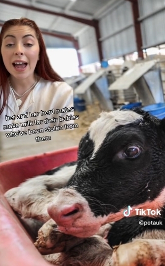 (사진=PetaUK TikTok 갈무리)