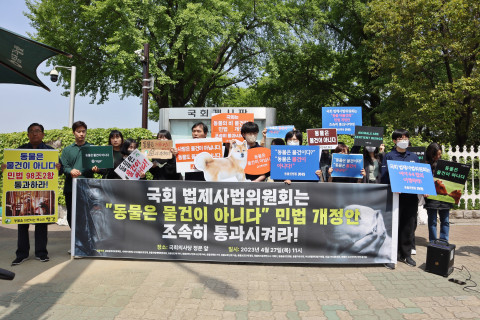 (사진=동물권행동 카라 제공)