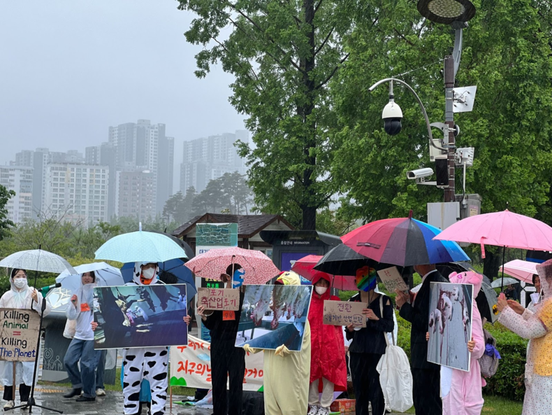 (사진=세계비건기후행진 부산 기획팀 제공)