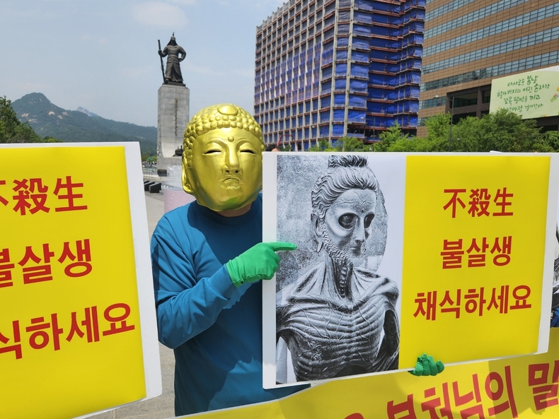 (사진=한국채식연합 제공)