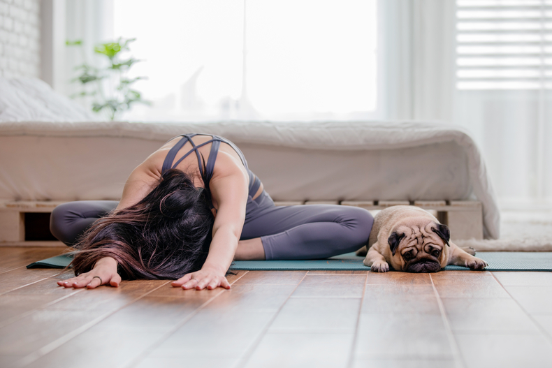 강아지들과 함께 요가 수업을 듣는 ‘퍼피 요가(Puppy yoga)’가 영국에서 큰 인기를 얻고 있는 가운데 퍼피요가가 실은 강아지들에게 큰 스트레스를 주며 귀여운 동물을 상품화하는 것에 불과하다는 의견이 제기됐다. (사진=게티이미지뱅크)