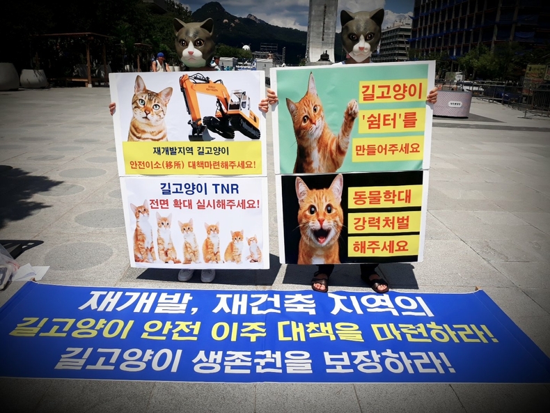 (사진=한국동물보호연합 제공)