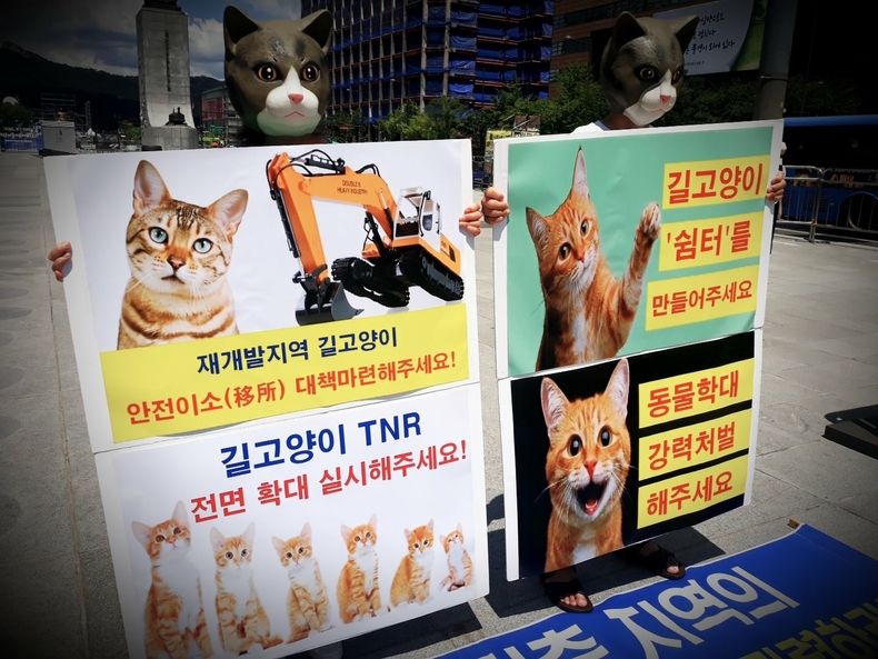 (사진=한국동물보호연합 제공)