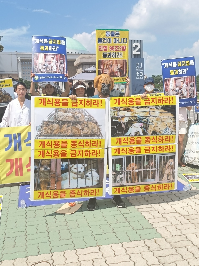 (사진=한국동물보호연합 제공)