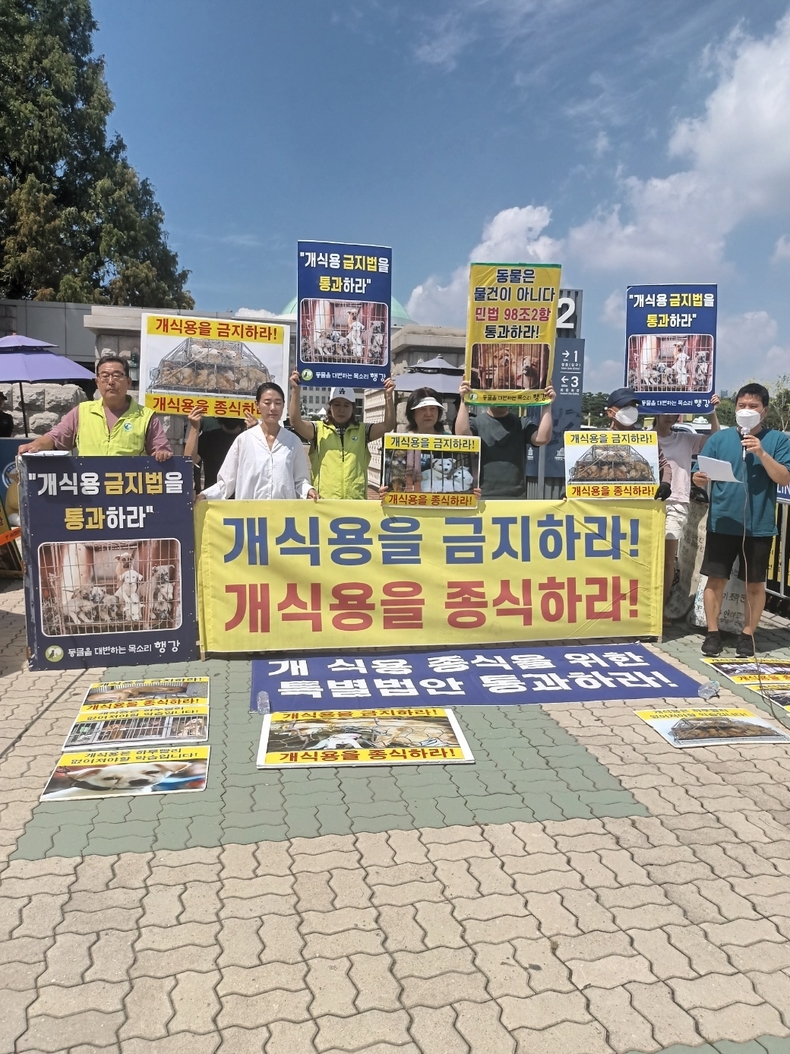(사진=한국동물보호연합 제공)