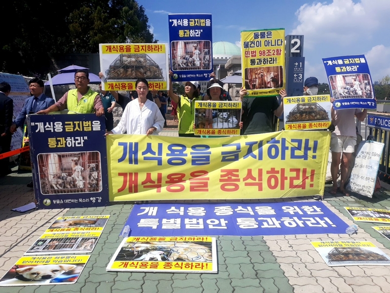 (사진=한국동물보호연합 제공)